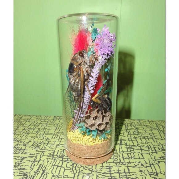 Cicada Wasp Nest & Carpenter Bee Oddity Jar curiosity dome insect taxidermy goth - Picture 3 of 15
